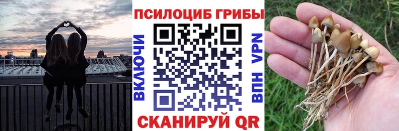 MEGA   Воткинск  Псилоцибиновые грибы ЛСД 